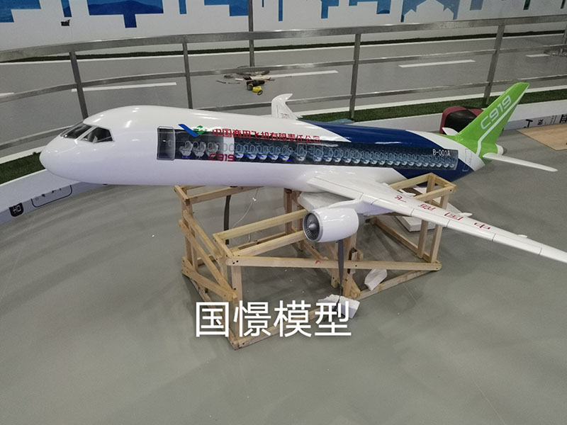 上林县飞机模型
