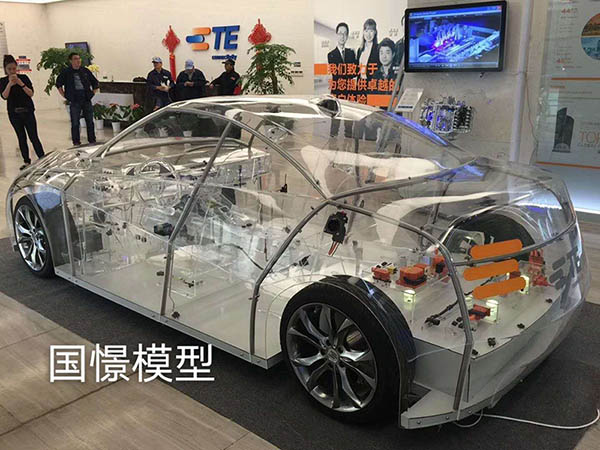 上林县透明车模型